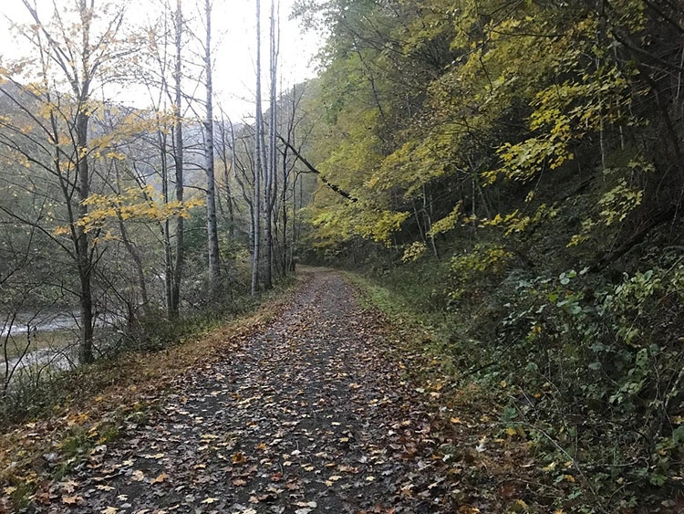 Cass Scenic Railroad State Park