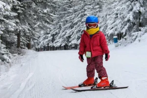  Canaan Valley Resort State Park