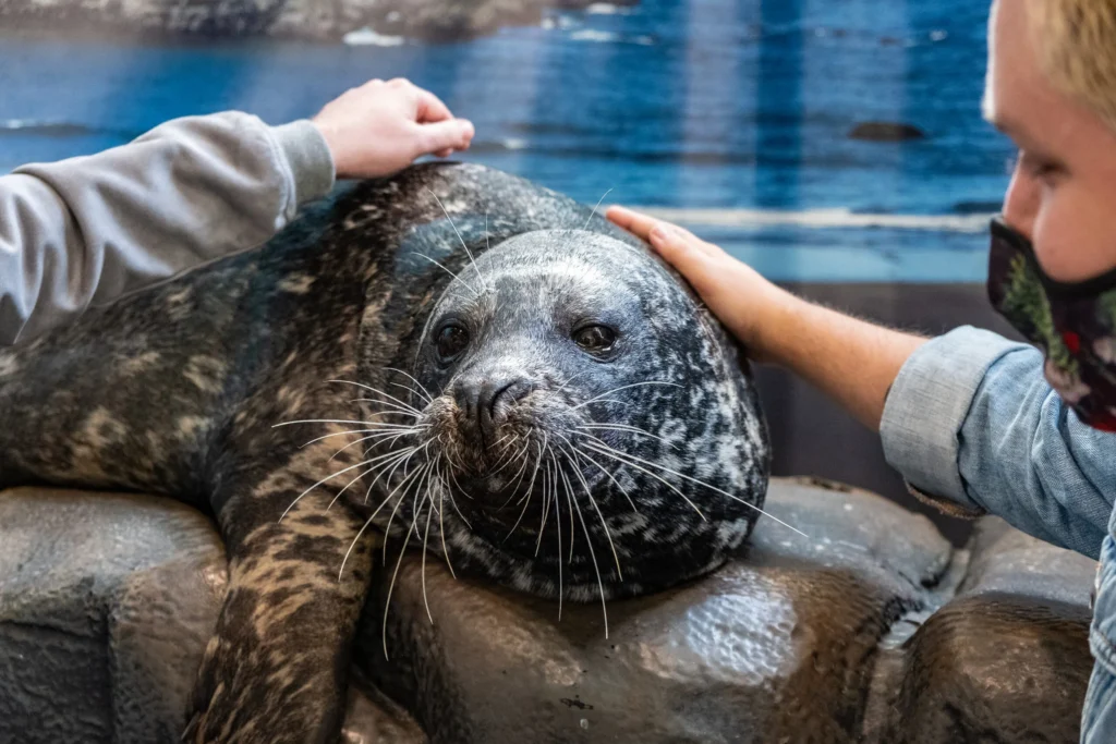 The Georgia Aquarium 